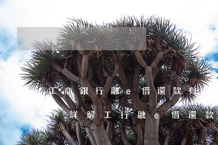工商銀行融e借還款有寬限期嗎？詳解工行融e借還款規(guī)定